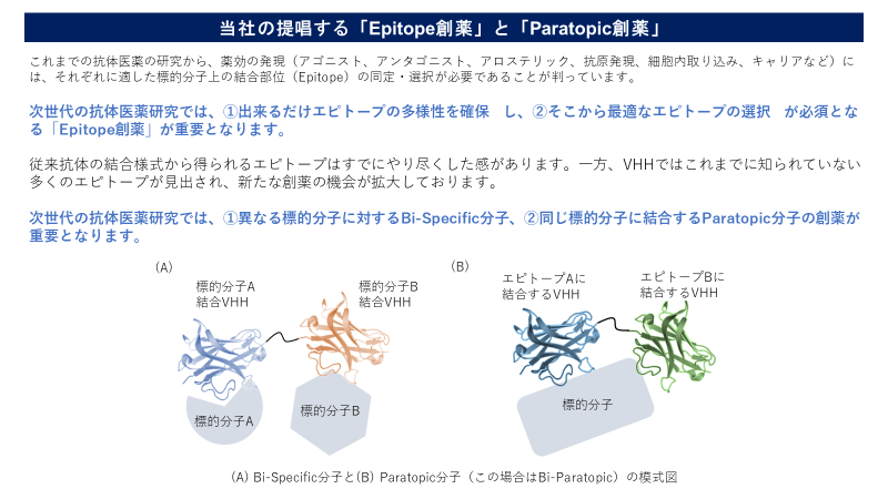 第6回 Vhhの魅力と将来展望について 土屋政幸コラム Epsilon Molecular Engineering